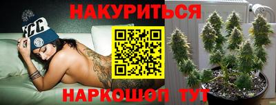 apvp Балашиха