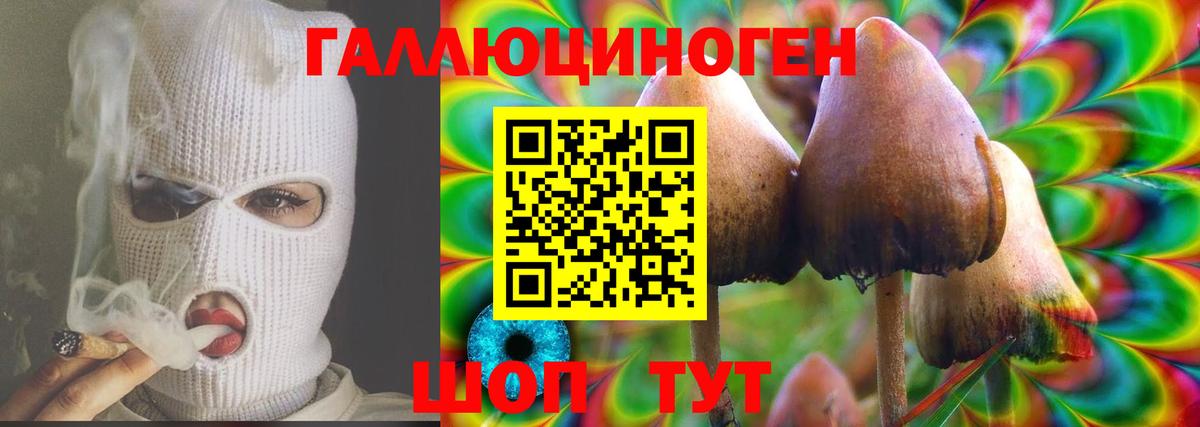 Галлюциногенные грибы Cubensis Елец